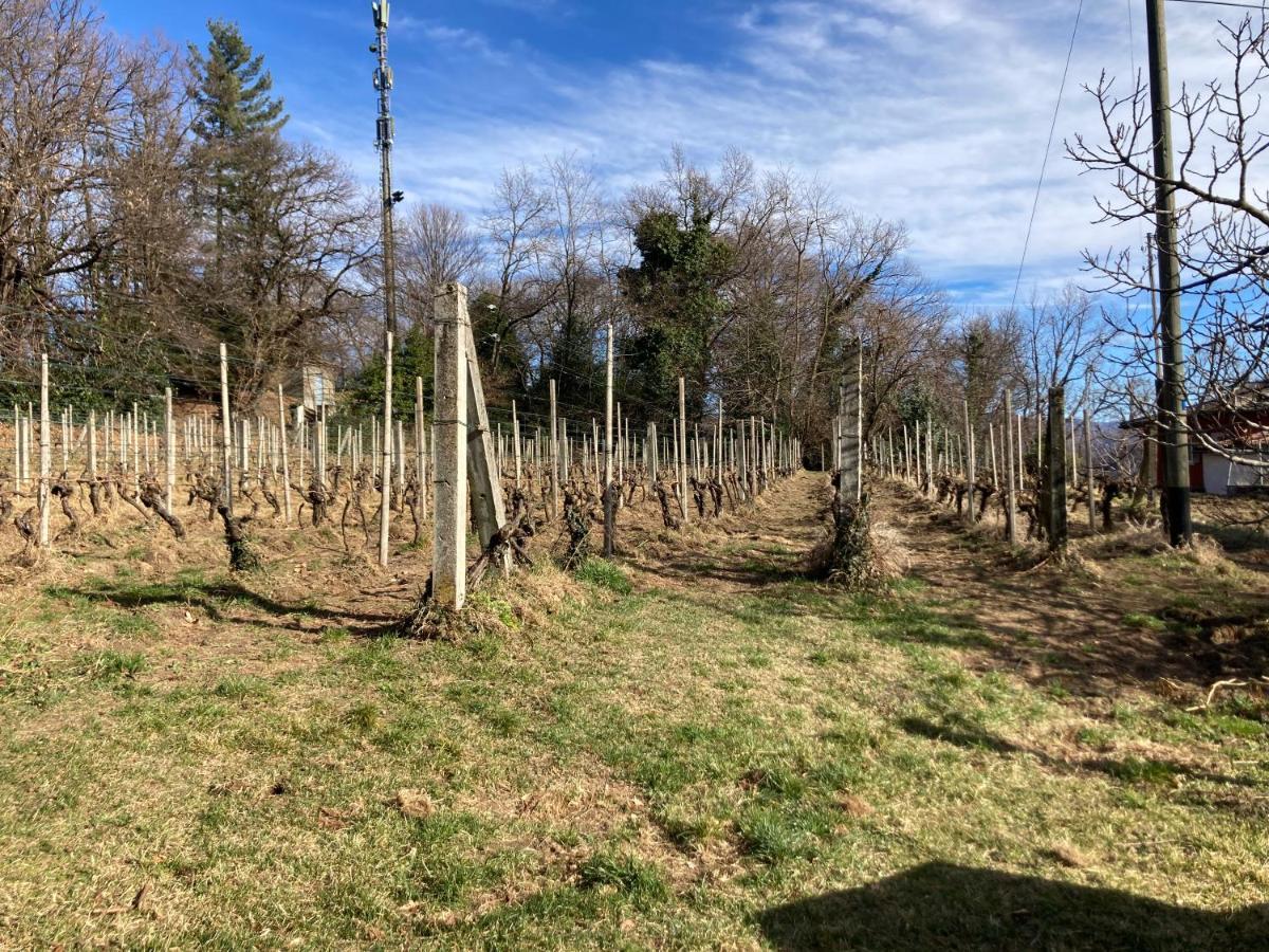 Appartamento Di Vacanza Tra I Vigneti Ponte Cremenaga Extérieur photo