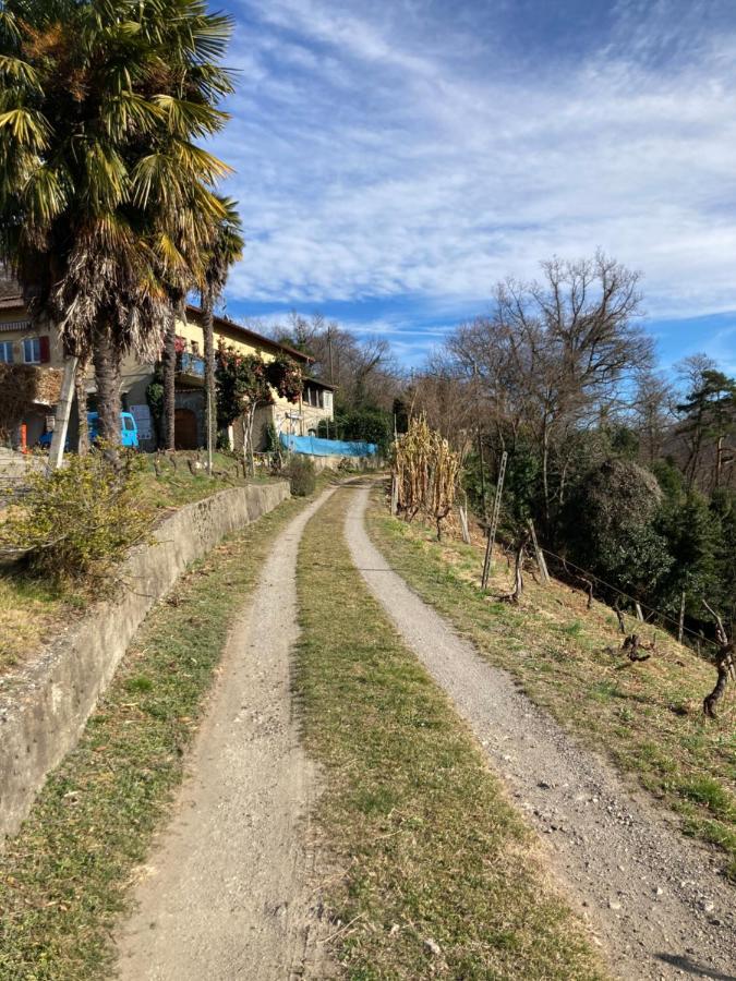 Appartamento Di Vacanza Tra I Vigneti Ponte Cremenaga Extérieur photo