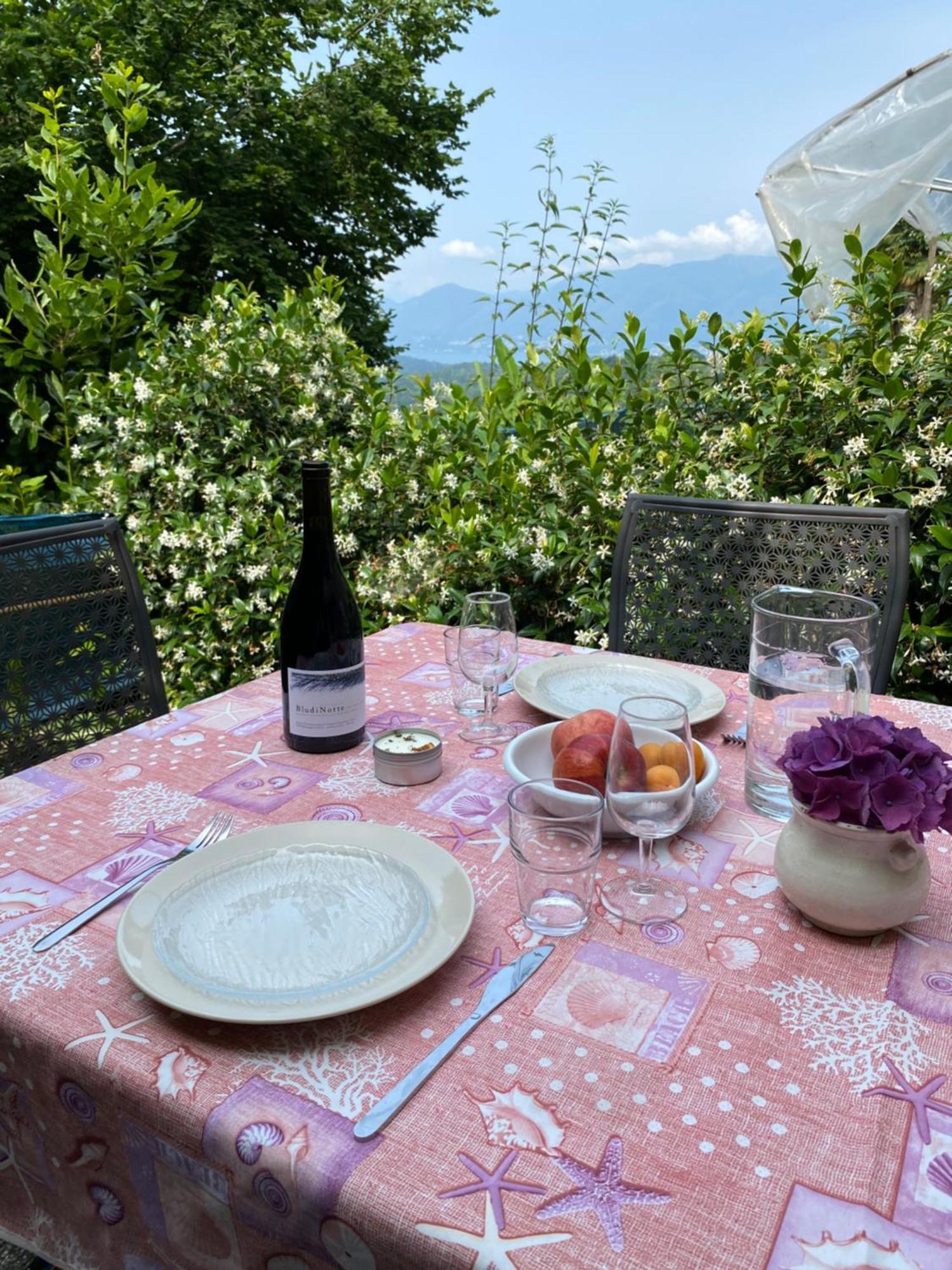 Appartamento Di Vacanza Tra I Vigneti Ponte Cremenaga Extérieur photo